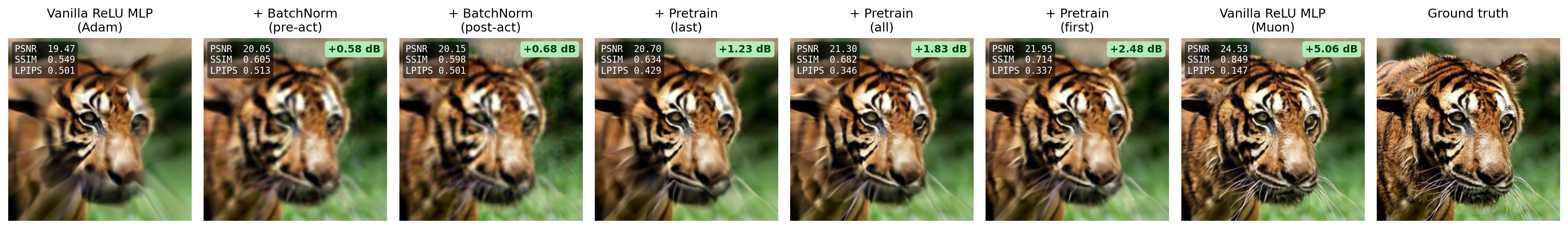 Tiger Reconstruction